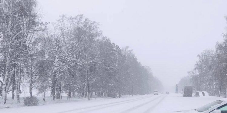 Свыше 300 карабинеров помогали гражданам во время непогоды
