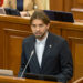 Депутат Потырнике назвал шесть вариантов размещения спортивного объекта в Кишиневе и пригородах