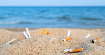 Экологи проследили, что случается с окурками через 10 лет