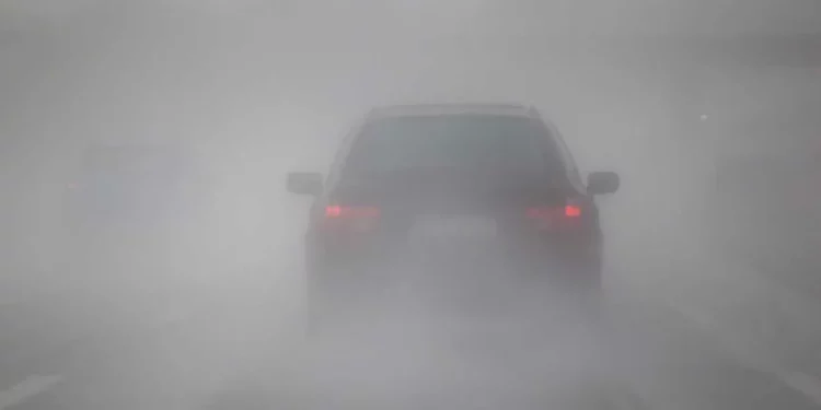 «Желтый код» метеопасности: сильный туман снизит видимость до 200 метров