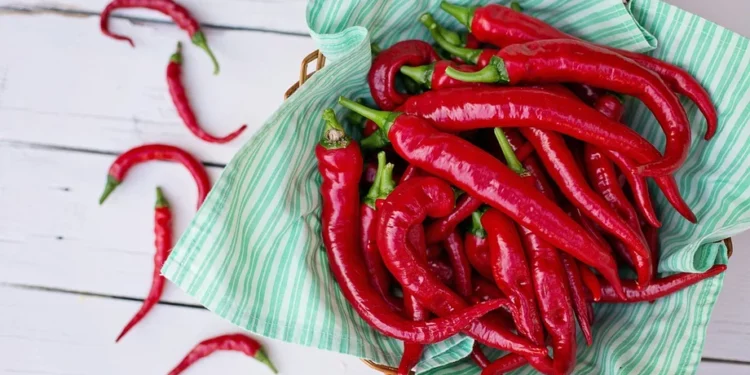 Острая пища помогает похудеть: действительно ли перец чили может ускорить метаболизм человека
