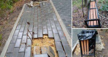 В Рышкановском лесопарке в Кишинёве вандалы сломали плитку, скамейки и урны