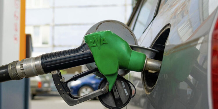 Дизель «ушёл в канистры»: Глава НАРЭ объяснил, куда исчезло топливо с АЗС