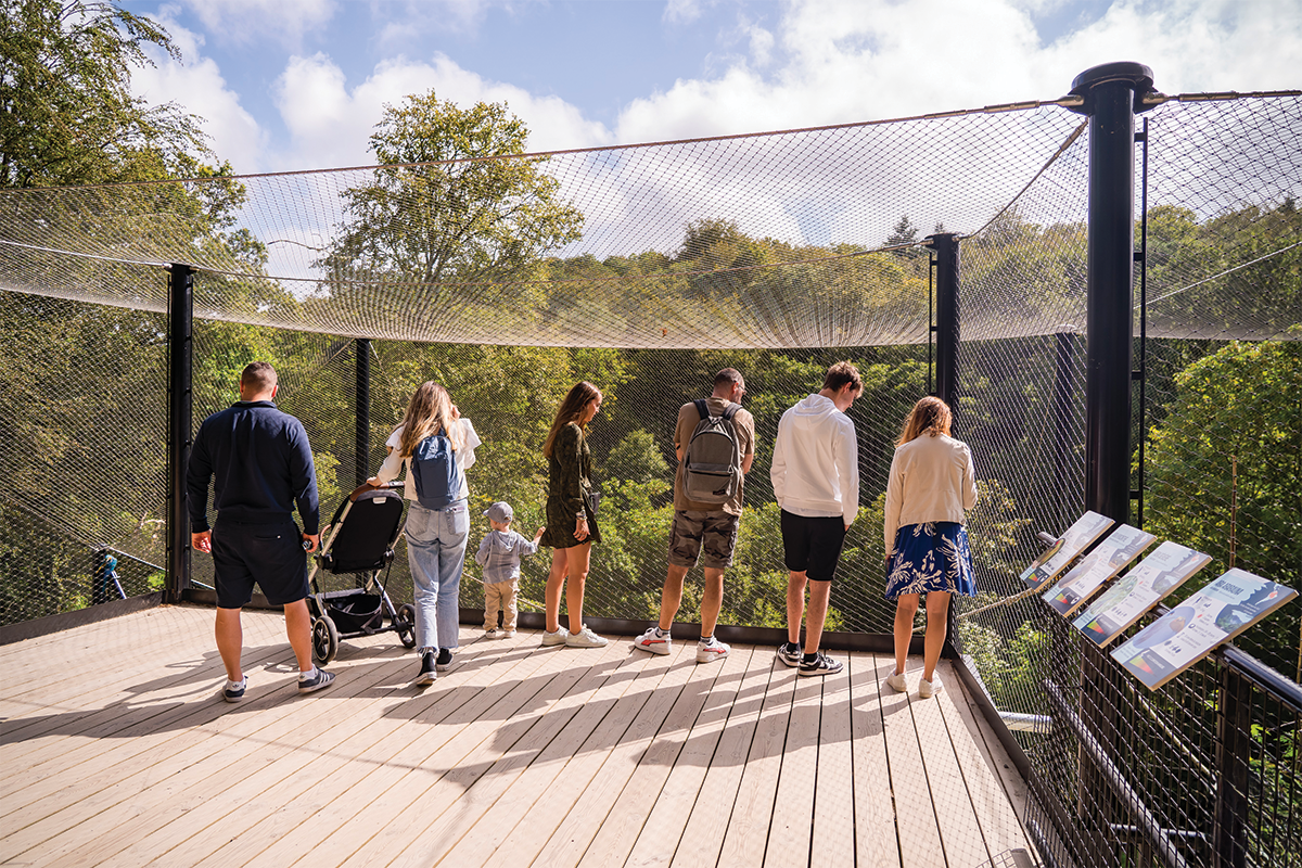 Immersion en pleine nature