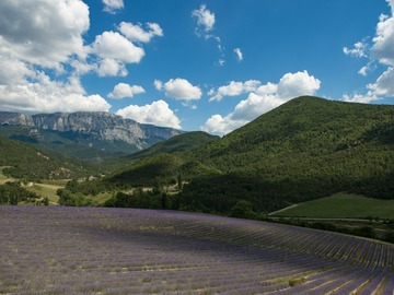 Information: Immersion en pleine nature