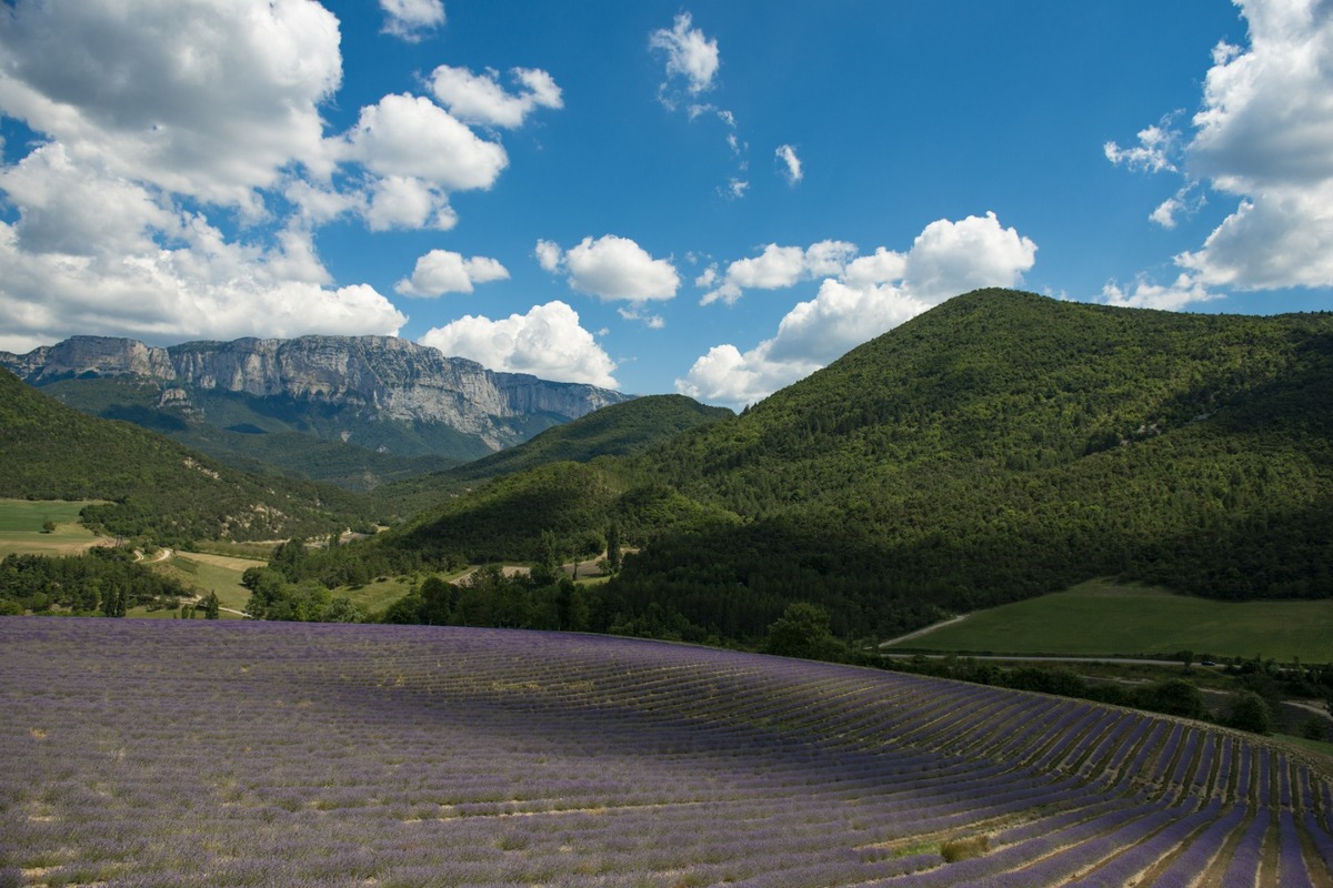 Immersion en pleine nature