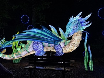 Information: Le Festival des Animaux de Lumière