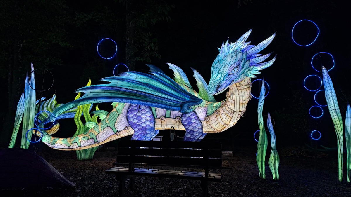 The Festival of Animals of Light