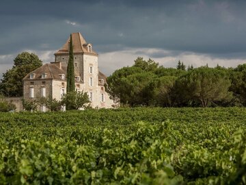 Information: Entdecken Sie die Weine des Château de Haute-Serre