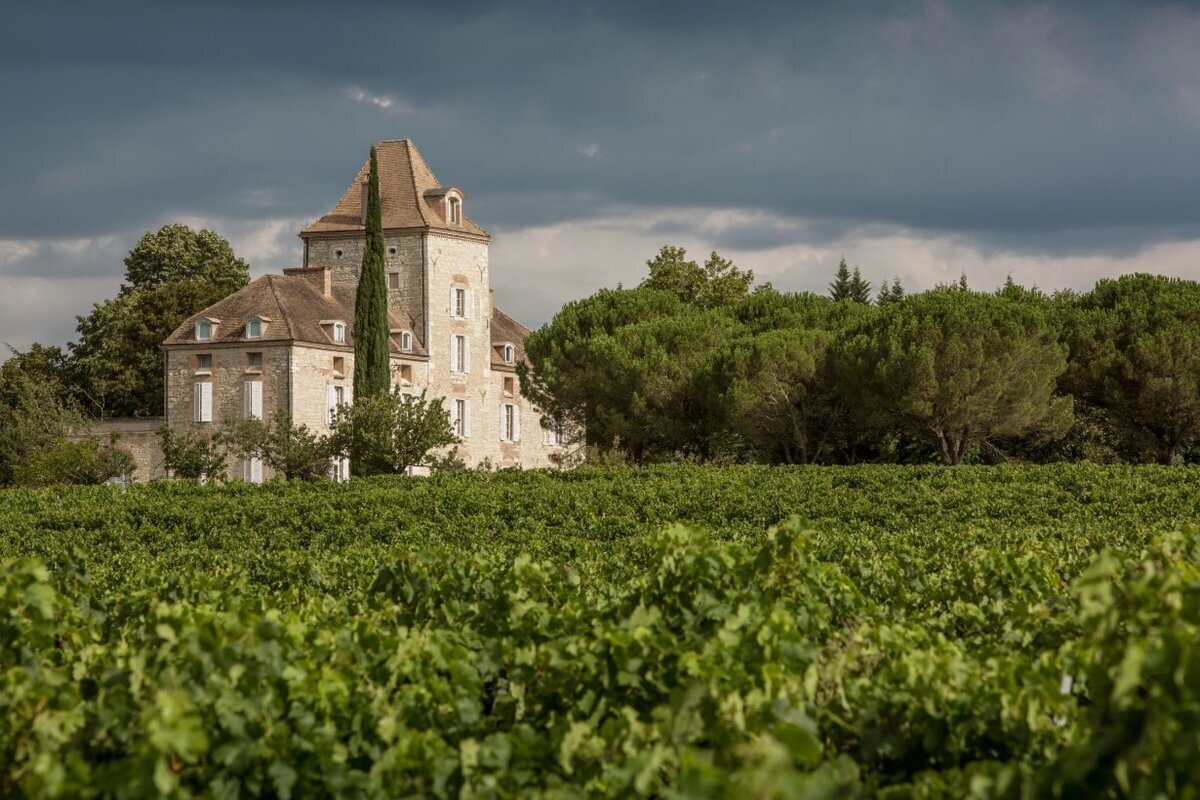 Découvrir les vins du Château de Haute-Serre