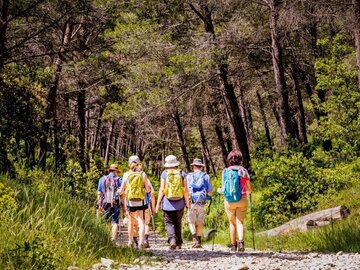 Information: Randonnée nature dans les Alpilles