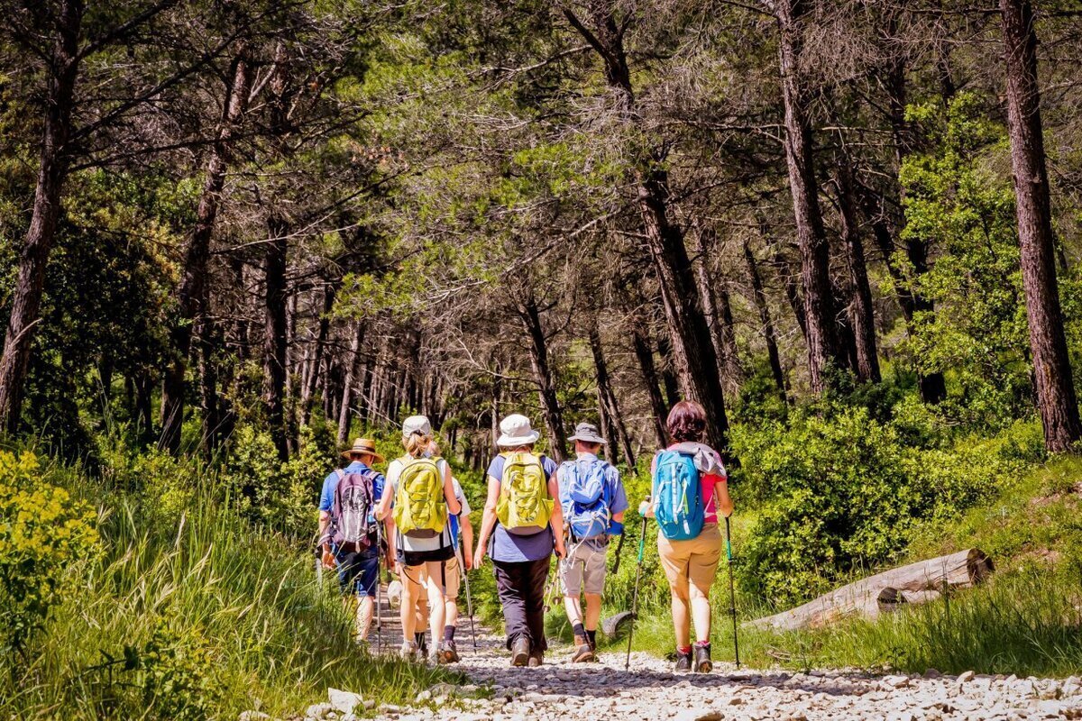 Randonnée nature dans les Alpilles