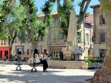 Information: Excursion Les plus beaux villages des Alpilles