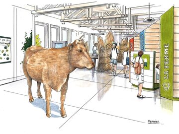 Information: Voyage sensoriel à la Maison du Comté