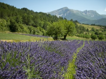 Information: Dîner aux saveurs iodées et parfumées 