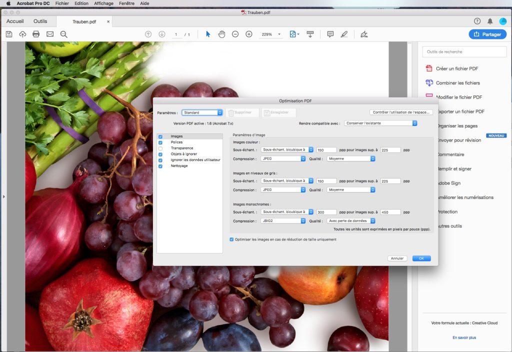 Pdf n'apparait pas dans enregistrer sous