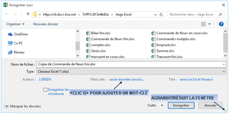 Enregistrer xlsx