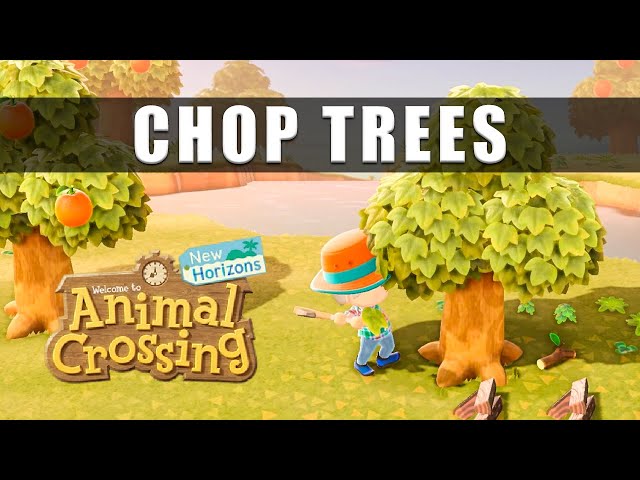 Enregistrer meilleur ami animal crossing 2 Enregistrer meilleur ami animal crossing