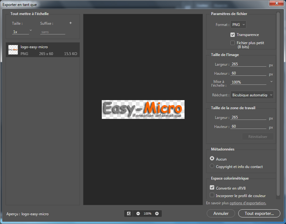 Enregistrer en pdf photoshop