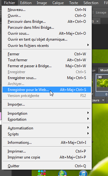 Enregistrer version anterieure photoshop