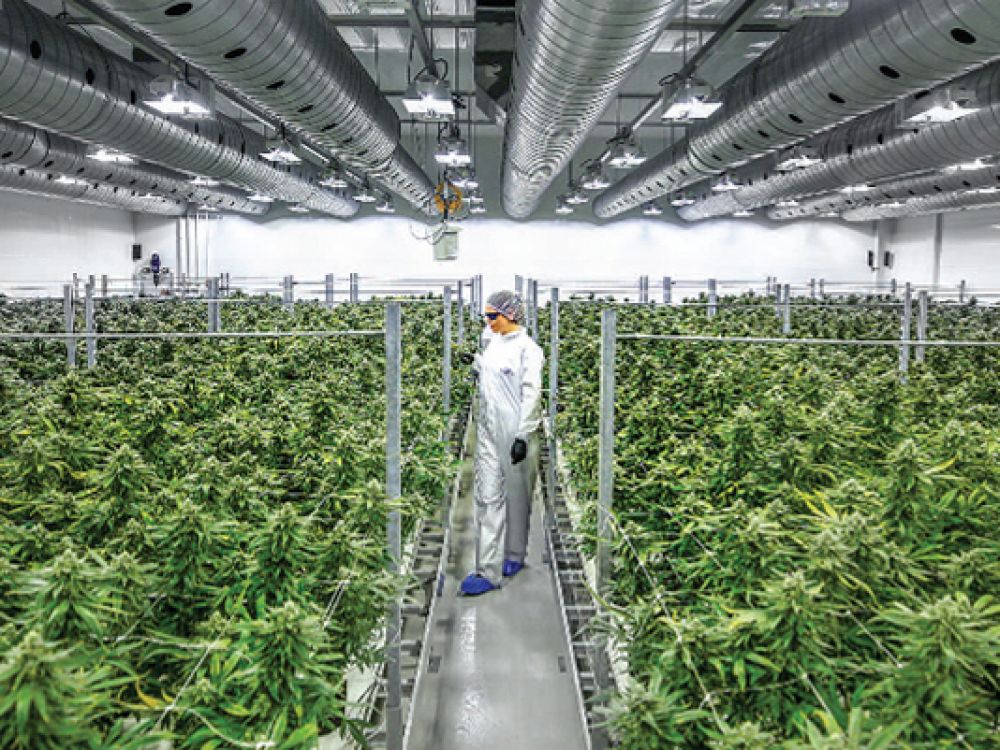 Enregistrer entreprise ontario