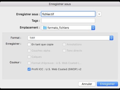 Pour enregistrer une image dans un format qui prend le moins de place possible