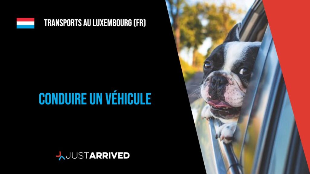 Enregistrer chien luxembourg