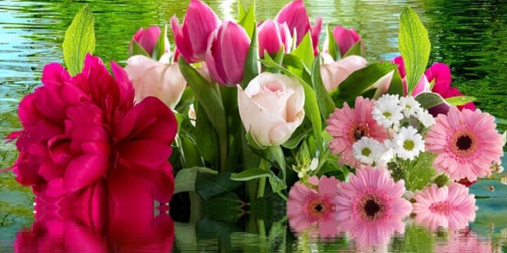 Significado de las flores rosas: ¿qué simbolizan?