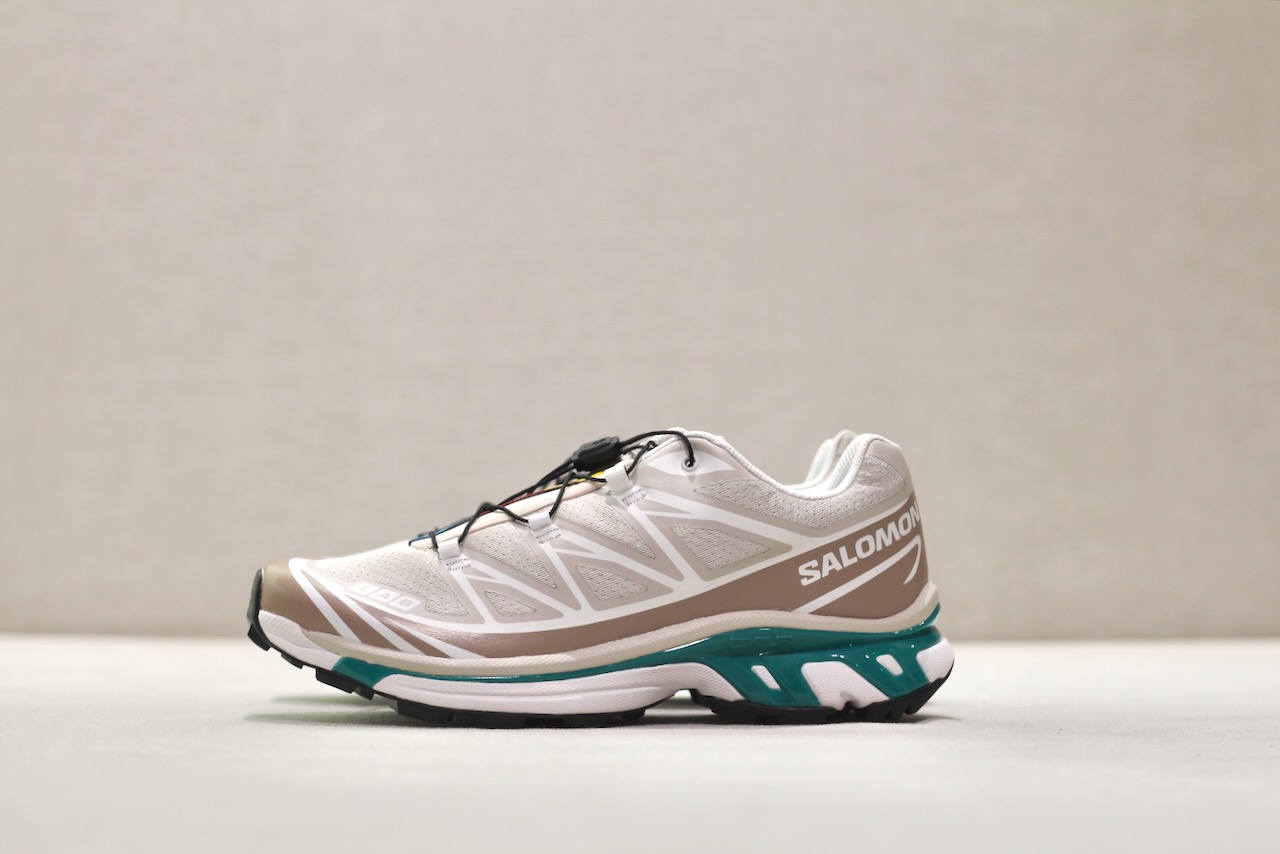 Salomon XT-6 Rainy Day Chinchilla Dygn