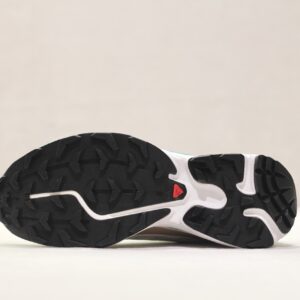 Salomon XT-6 Rainy Day Chinchilla Dygn