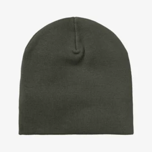 Carhartt Wip Scripter Beanie Opuntia