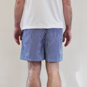 Bisous Swimshort Gianni Stripes Navy