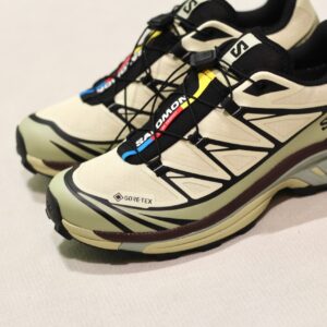 Salomon XT-6 GTX Aspargus Green Tea Bchoco