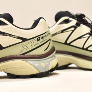 Salomon XT-6 GTX Aspargus Green Tea Bchoco
