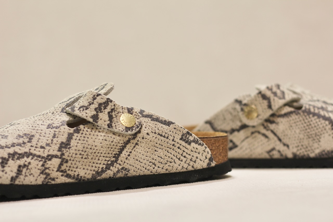 Boston Print Snake Oyster