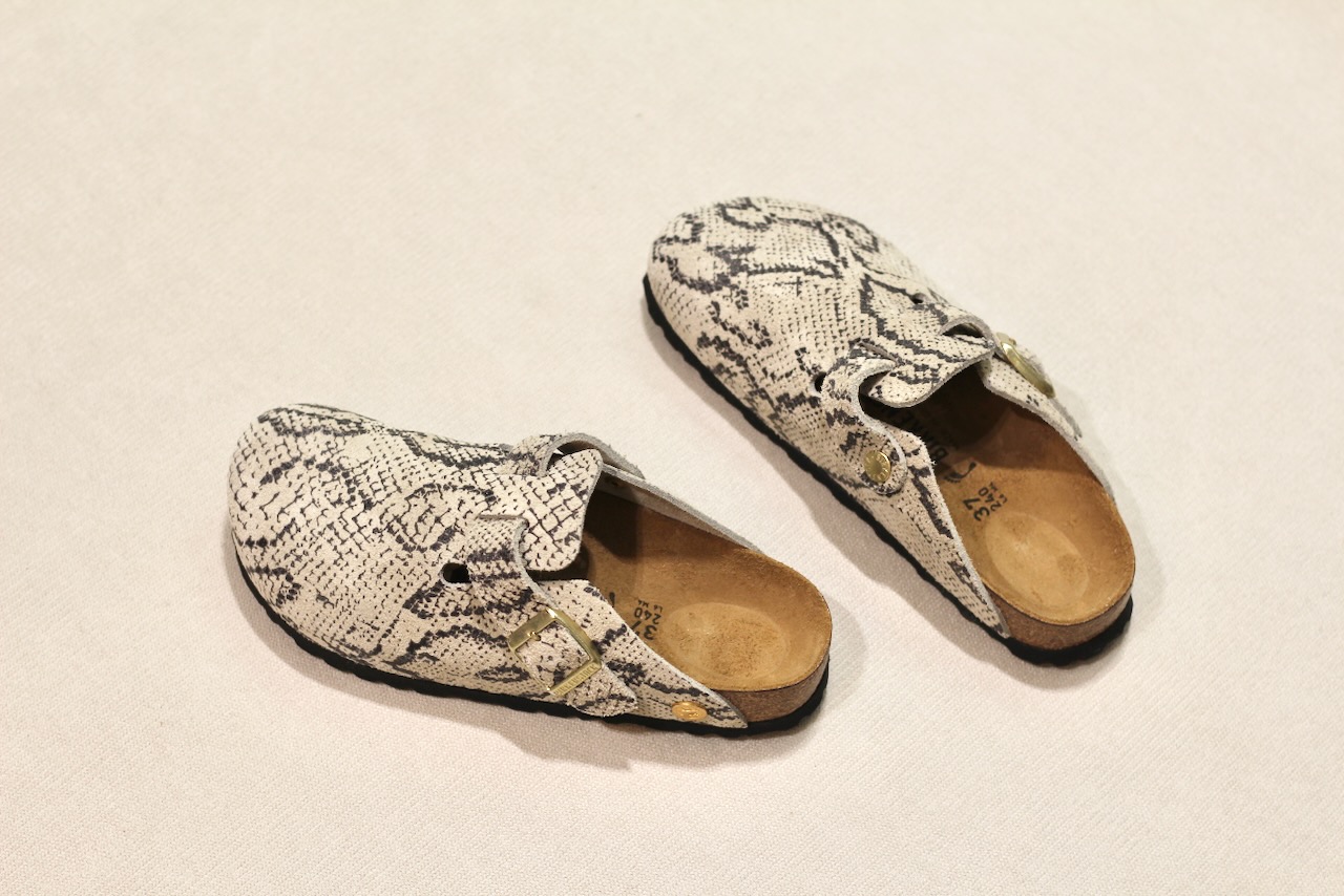 Boston Print Snake Oyster