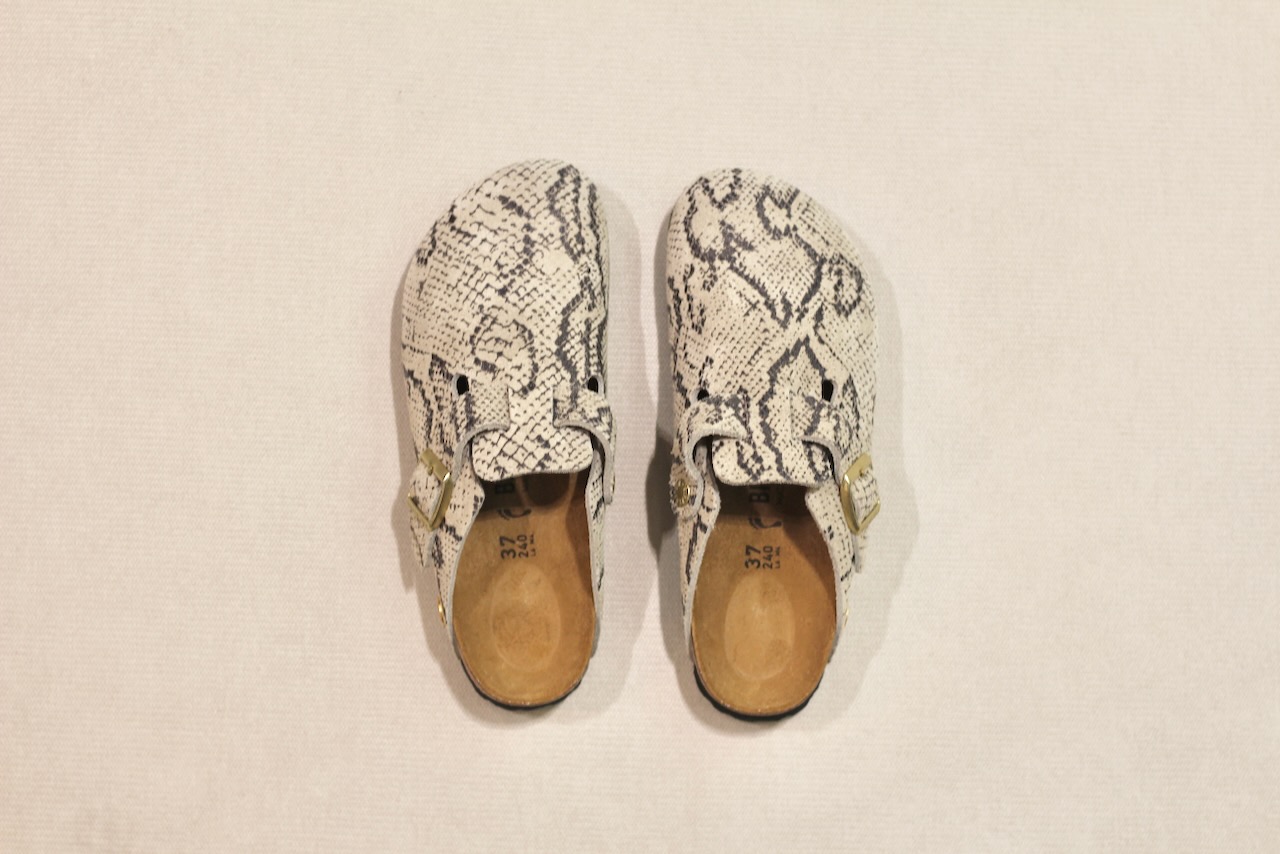 Boston Print Snake Oyster