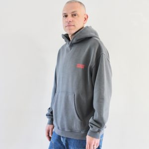 AMV Plizzy Hoodie Cendre Vintage