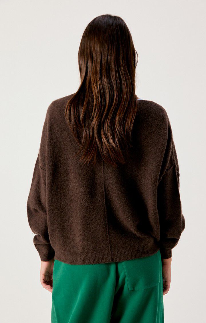 AMV Damsville Pull Brune Chiné