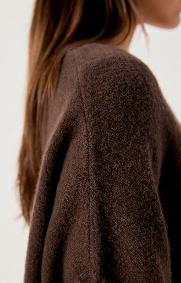 AMV Damsville Pull Brune Chiné