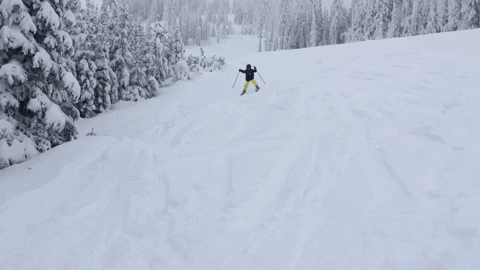 Gif chute ski Lyon