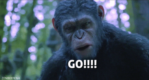 Gif go