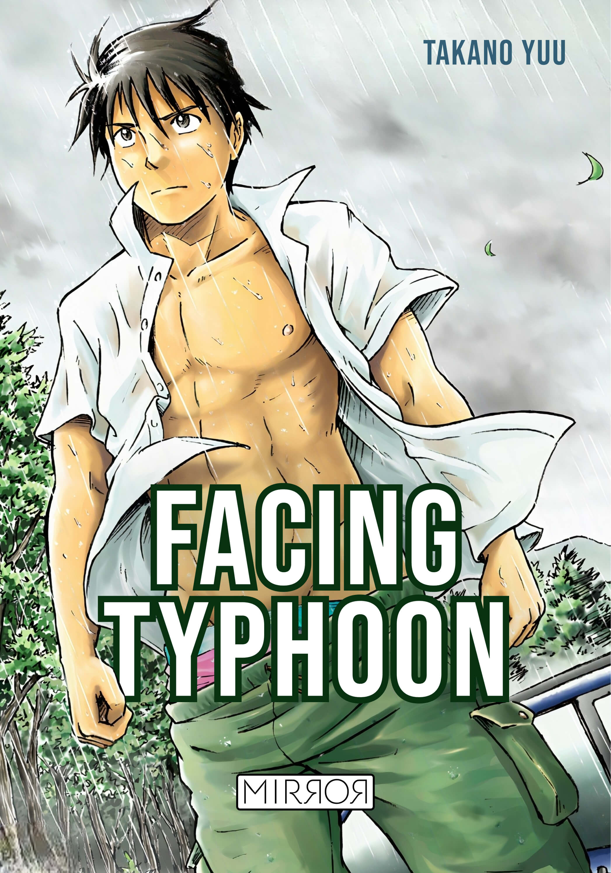 Facing Typhoon cover