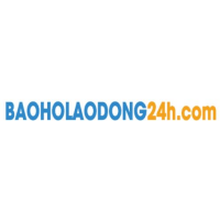 baoholaodong24h