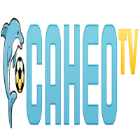 caheotvprolink