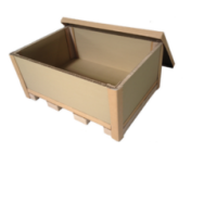 eco_friendly_pa