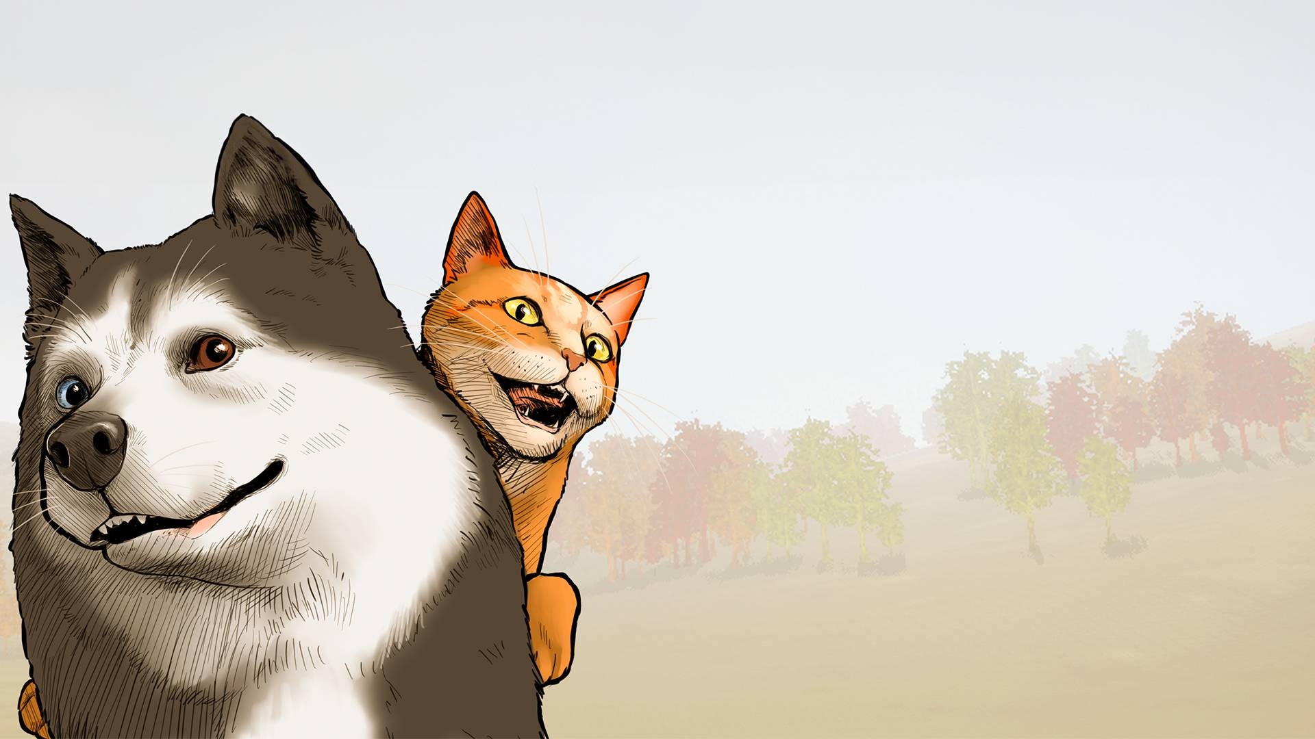Animal Shelter 2