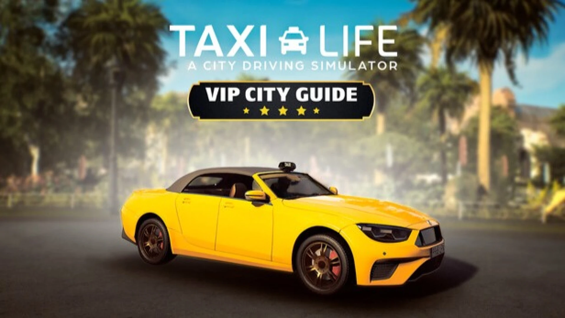Review: Taxi Life ♪ VIP City Guide