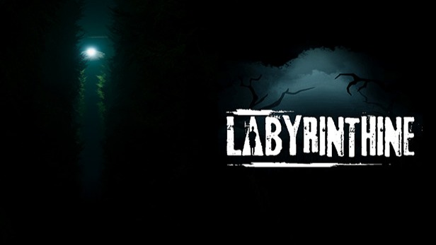 Labyrinthin