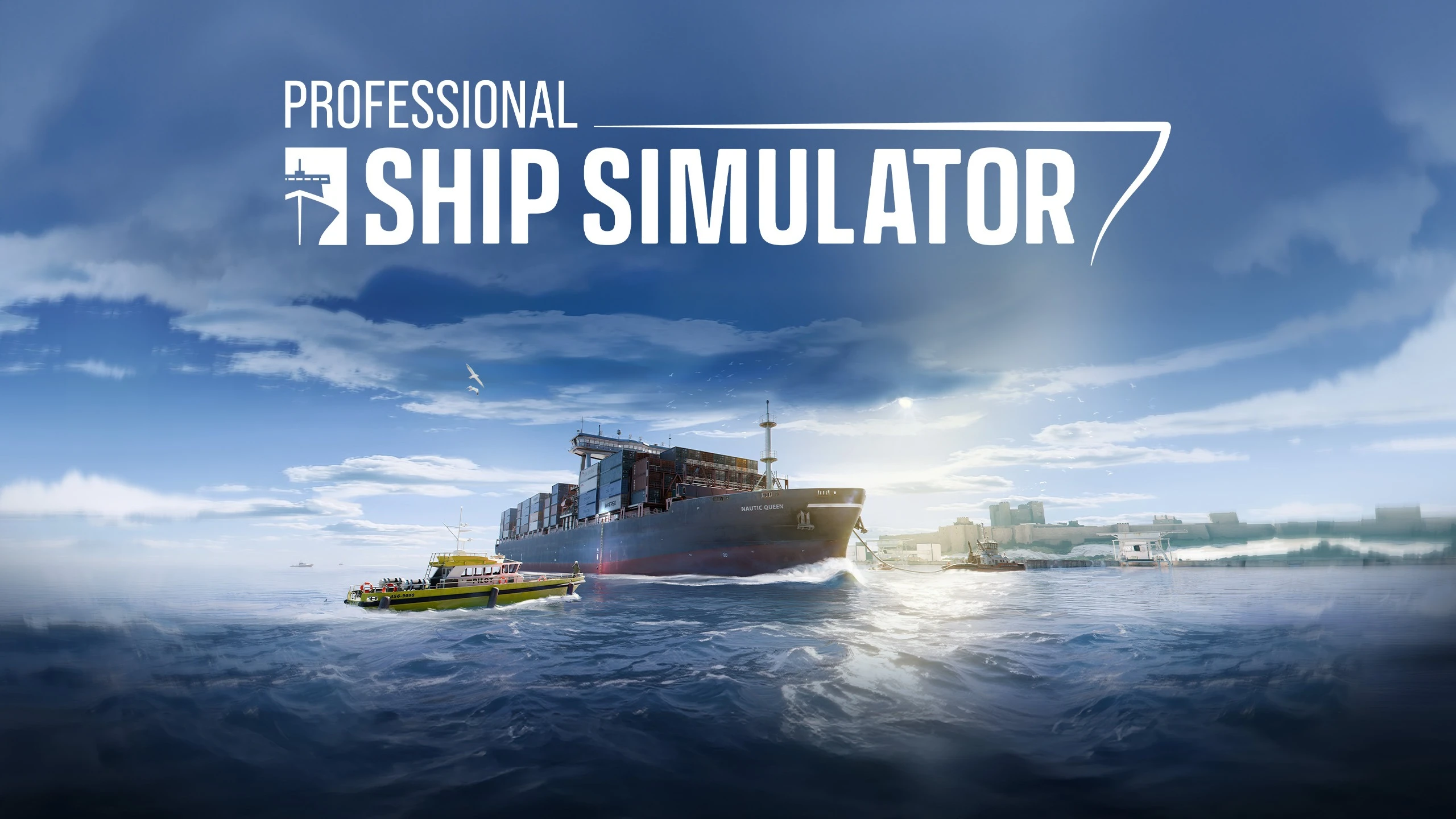 Professional Ship Simulator